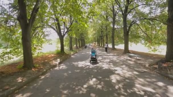 Glad ung mamma krama hennes baby son och promenader med barnvagn på park — Stockvideo