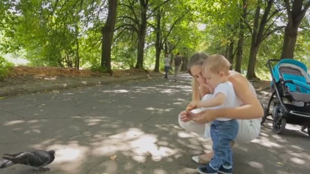 Счастливая улыбающаяся мать с маленьким сыном бросает хлеб голубям в парк — стоковое видео