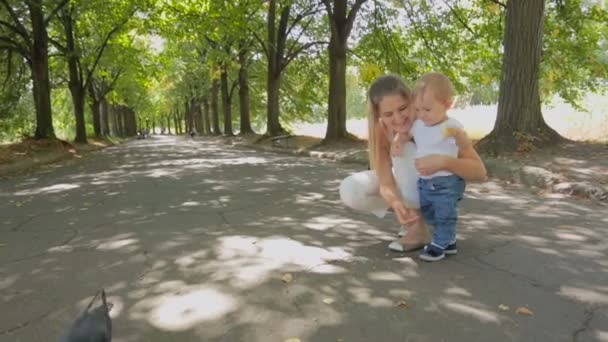可爱 1 岁男婴与母亲在公园喂鸽子 — 图库视频影像