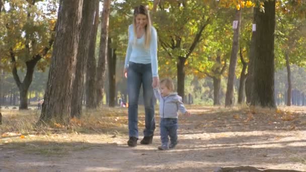 Bonito menino segurando as mães mão e caminhando na floresta de outono — Vídeo de Stock