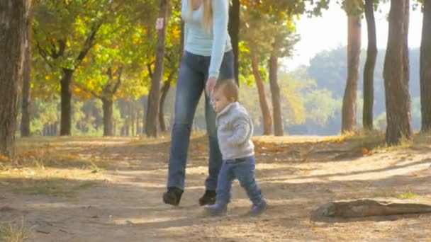 Imágenes 4K del lindo bebé sosteniendo la mano de la madre y caminando en el bosque de otoño — Vídeos de Stock