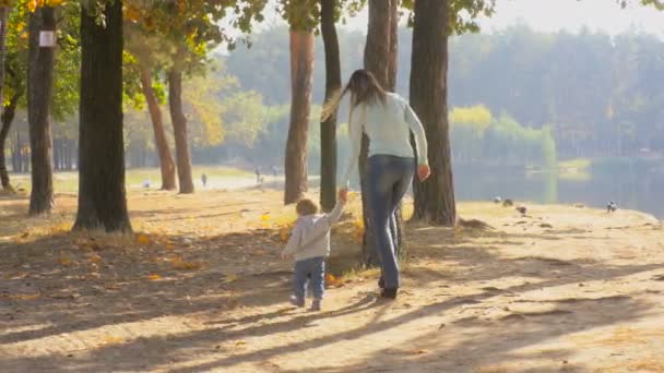 Cute 1 year old baby boy walking with mother at park and picking up leaves from the ground — Stock Video