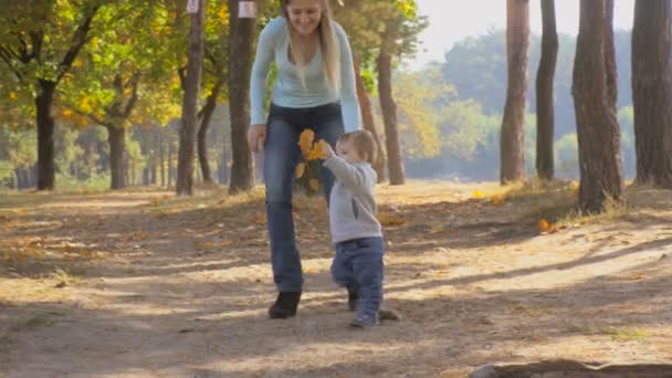4 k film av söt baby pojke promenad med mamma på park och hålla lönnlöv — Stockvideo