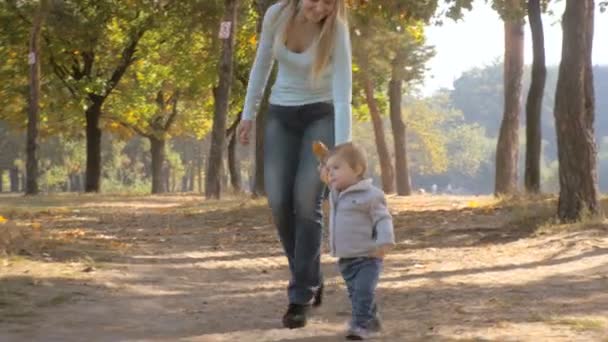 Söt 1 år gammal pojke håller mödrar hand och promenader på hösten park — Stockvideo