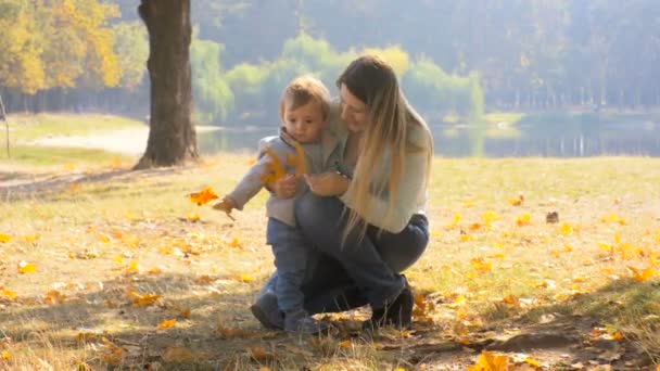 4K footage of happy young mother with baby son picking up leaves at autumn park — Stock Video