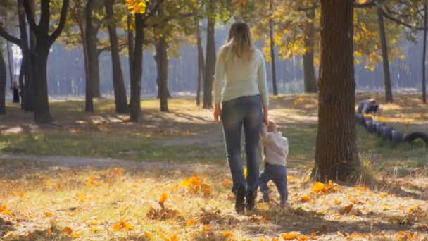 Młoda matka chodzenie z jej synkiem na żółte liście na jesieni park — Wideo stockowe