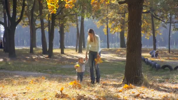 Baby boy with young mom walking at autumn forest — Stock Video