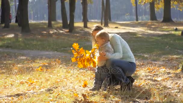 Adorável sorrindo menino colecionando folhas amarelas no parque de outono — Vídeo de Stock