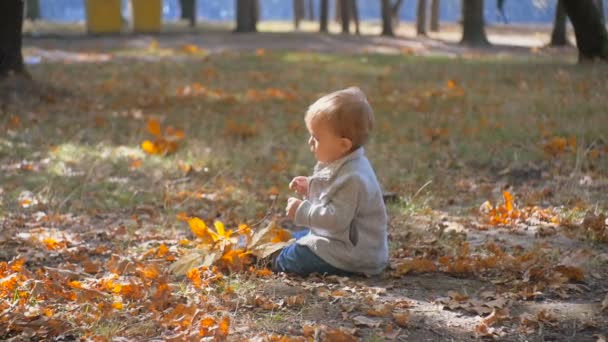 Slow motion bilder av söt baby pojke sitter på gula blad på hösten park — Stockvideo