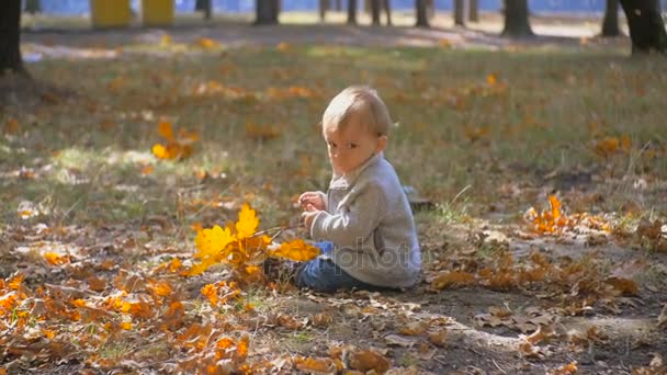 Slow motion záběry roztomilý chlapeček našel žalud na podzimní park — Stock video