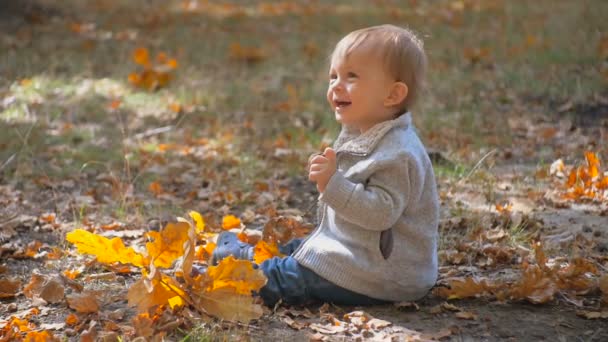 Zeitlupe zeigt fröhlich lachenden Jungen, der im Herbstpark mit Blättern spielt — Stockvideo