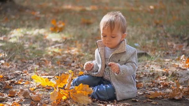 Zeitlupenaufnahmen einer jungen Mutter hindern ihren kleinen Sohn daran, schmutzige Eicheln zu essen, die im Park aus dem Boden geholt werden — Stockvideo