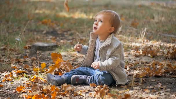 Slow motion bilder av söt baby pojke sitter på marken på park och titta på fallande löv — Stockvideo