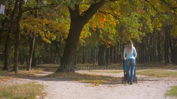 4 k beelden van jonge moeder wandelen met haar baby in kinderwagen in herfst park op een winderige dag — Stockvideo