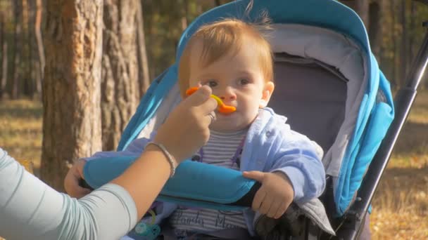 Imagens de close-up de jovem mãe alimentando seu bebê menino sentado no carrinho — Vídeo de Stock