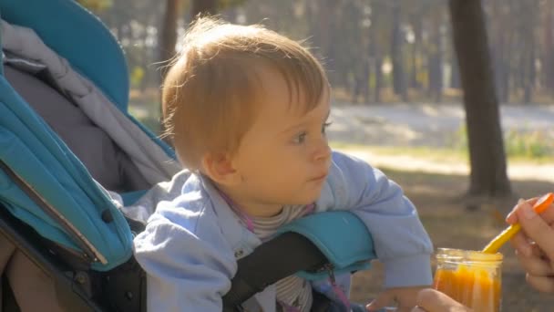 Imágenes de primer plano 4K del adorable bebé sentado en el cochecito en el parque y comiendo salsa de manzana de la cuchara — Vídeo de stock