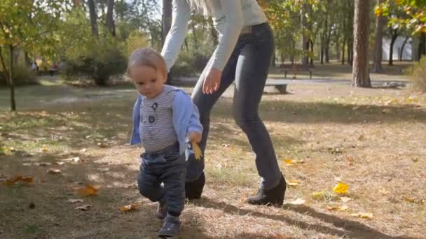 Imágenes en cámara lenta del adorable bebé sosteniendo a las madres de la mano y caminando en el parque de otoño — Vídeos de Stock