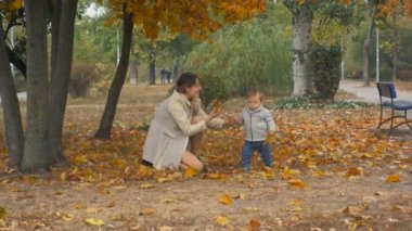 genç anne bebek evlat sonbahar Park'ta yürüyüş zevk ile 4 k görüntüleri