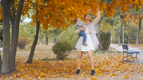 Beautiful young mother holding her baby son and giving him yellow leaf from tree at autumn park — Stock Video