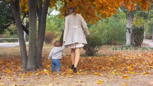 4K footage of cute baby boy learning how to walk with mother at park and falling down — Stock Video
