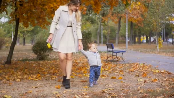 Медленная съемка 1-летнего мальчика, держащего мать за руку и идущего по аллее в парке — стоковое видео