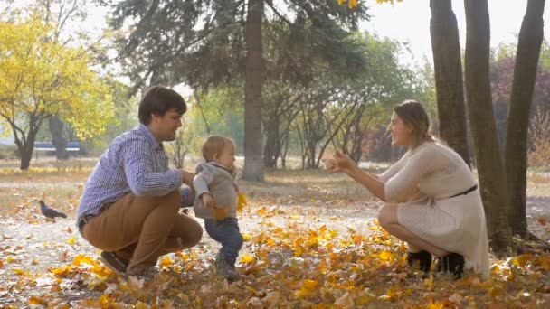 Unga föräldrar uppmuntrar deras baby son att göra sina första steg på hösten park — Stockvideo