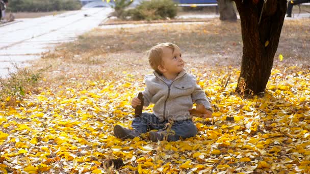 Медленные съемки счастливого улыбающегося мальчика, сидящего на земле и смотрящего на падающие осенние листья в парке — стоковое видео