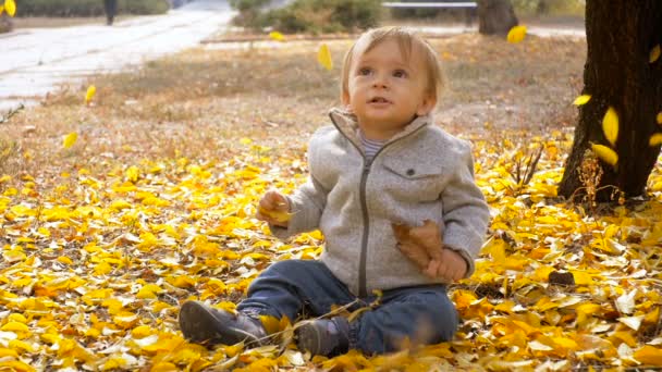 Filmagem em câmera lenta de folhas amarelas de outono caindo em um menino bonito sentado no chão no parque — Vídeo de Stock