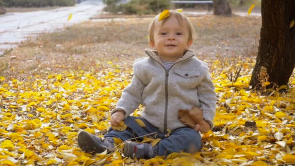 Zeitlupenaufnahmen von niedlichen, fröhlichen Jungen, die im Park unter fallenden Herbstblättern sitzen — Stockvideo