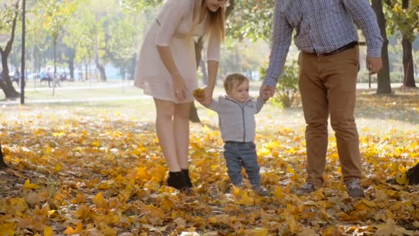 Junge Eltern halten ihren kleinen Sohn in der Hand und gehen im Herbstpark spazieren — Stockvideo