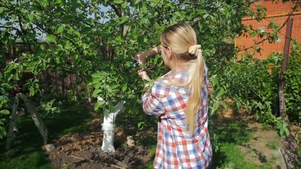 Vidéo au ralenti de la jeune femme coupant des branches de pommier au verger — Video