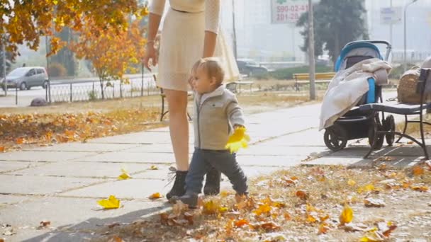 Schattige babyjongen lopen met moeder op pad in herfst park — Stockvideo