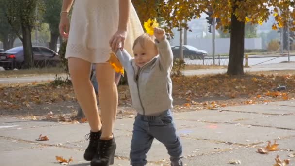 Slow motion bilder av söt pojke håller bladen och promenader på park med mamma — Stockvideo