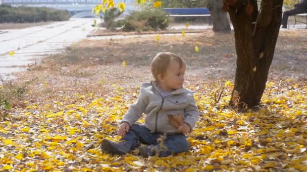 Slow motion záběry roztomilý chlapeček sedí na zemi pod stromem s padající listí
