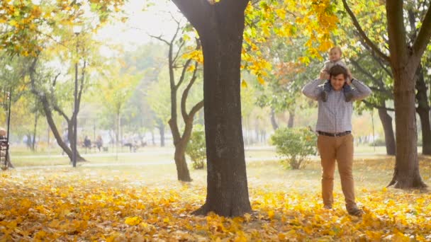 Lassított felvétel, boldog fiatal apa, baba tartja a vállán, és őszi Park séta — Stock videók