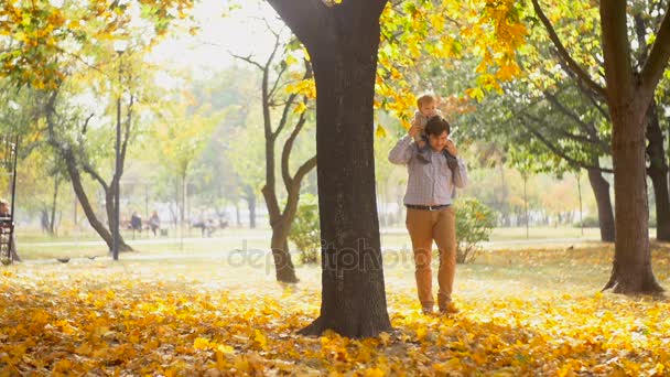 Feliz padre joven con hijo bebé sentado sobre sus hombros caminando en el hermoso parque de otoño — Vídeos de Stock