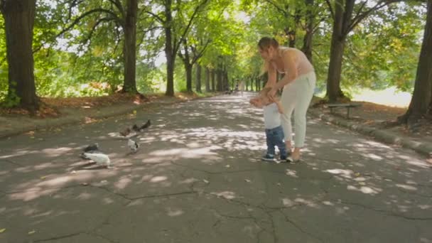 Steadicam tiro de família feliz alimentando pombos com pão no parque — Vídeo de Stock