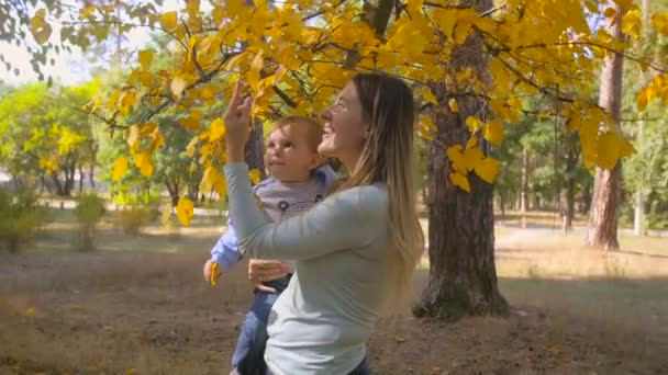 Slow motion bilder av glada leende mor ger gult löv från träd till hennes baby son — Stockvideo