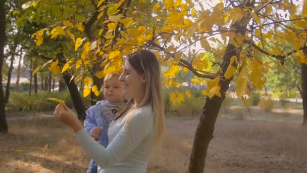 Zeitlupenaufnahmen einer glücklichen jungen Mutter, die Blatt vom Baum reißt und es ihrem kleinen Sohn gibt — Stockvideo