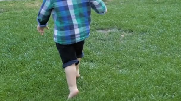 Slow motion closeup footage of adorable toddler boy feet running on fresh green grass at park — Stock Video