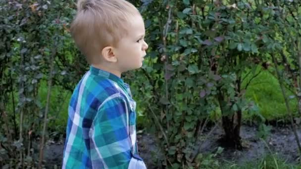 Відео повільного руху 2 років босоніж хлопчик біжить на свіжій зеленій траві в парку — стокове відео