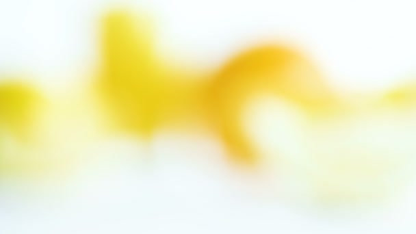 Blurred abstract 4k footage of yellow, orange and green spots flowing on white background. Defocused view of lemons, oranges and mint on table — Stock Video