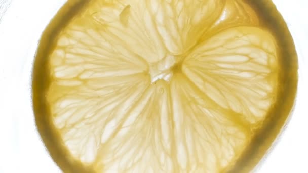 Медленная съемка вращения подсветки ломтика лимона — стоковое видео