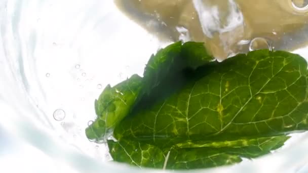 Slow motion of fillling glass with lemons, mint and ice with cold water. Preparing of cocktail or lemonade — Stock Video