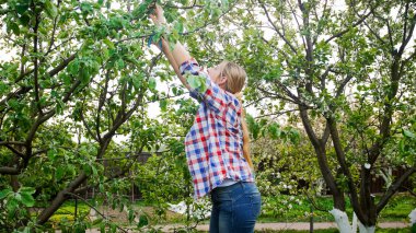 Genç kadın gardenener kesme ağaç dalları ile orchard'Bahçe kesiciler