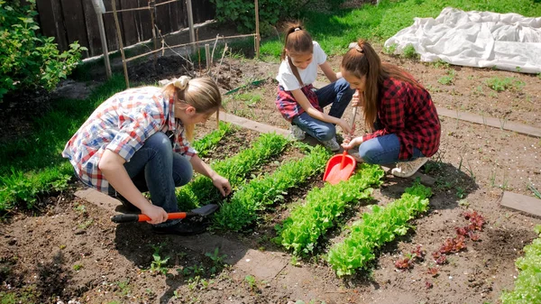 Foto von Familie Gartenarbeit im Hinterhof bei sonnigem Tag — Stockfoto