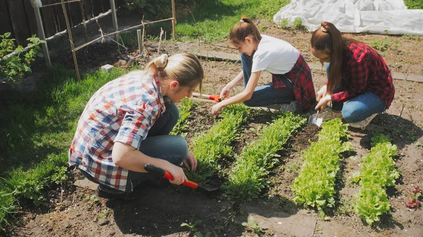 Foto tonificada de una gran familia trabajando en el jardín del patio trasero —  Fotos de Stock