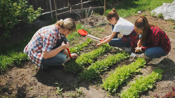Getöntes Foto von Familie, die Salat im Hinterhofgarten anpflanzt — Stockfoto