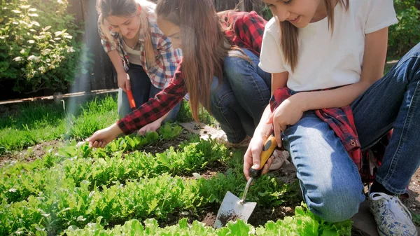 Closeup photo of two teenage girls with young mother weeding garden bed — Stock Photo, Image