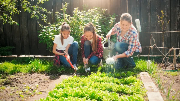 Две девочки-подростки полят садовую кровать, пока молодая мать поливает салат — стоковое фото